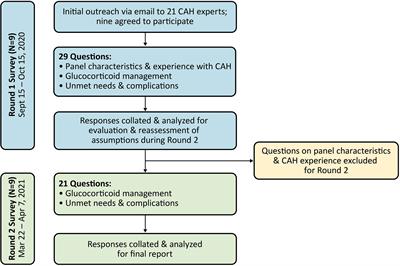 Treatment patterns and unmet needs in adults with classic congenital adrenal hyperplasia: A modified Delphi consensus study